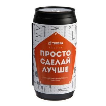 Набор инструментов ТУНДРА, подарочный пластиковый кейс Банка, 13 предметов